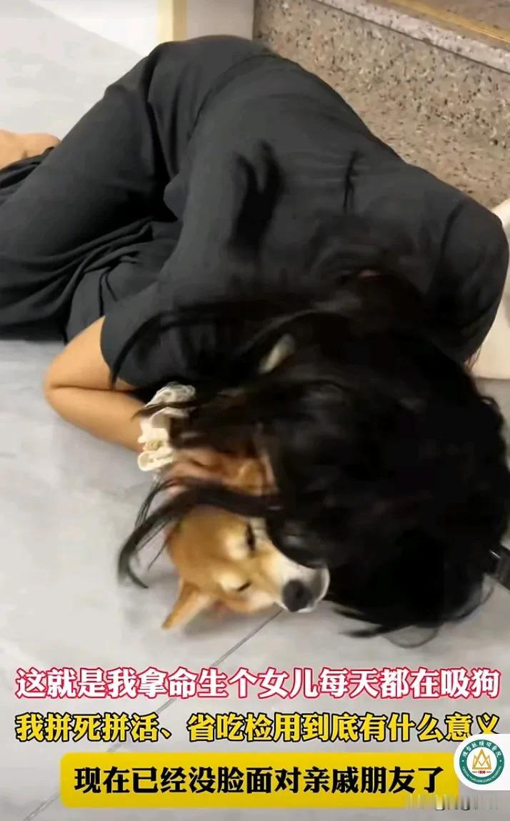 为什么越来越多单身女孩喜欢养狗?狗是一种陪伴，给人以忠诚、安全的感觉。但最近也有