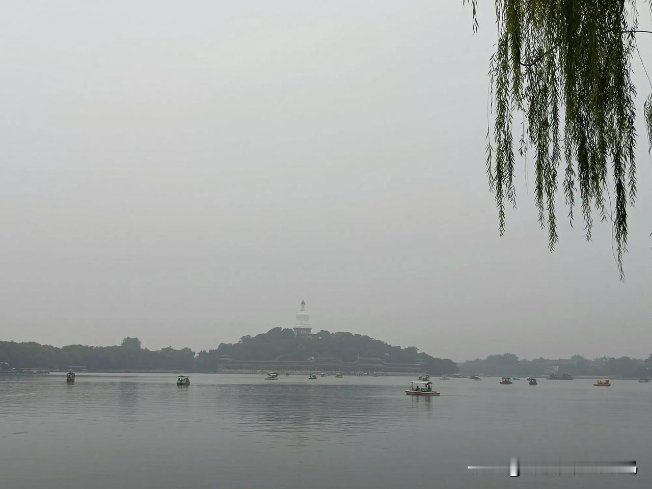 走过雾中北海和景山。忽来一阵急雨，黄叶在雨中飘落。再见北京。