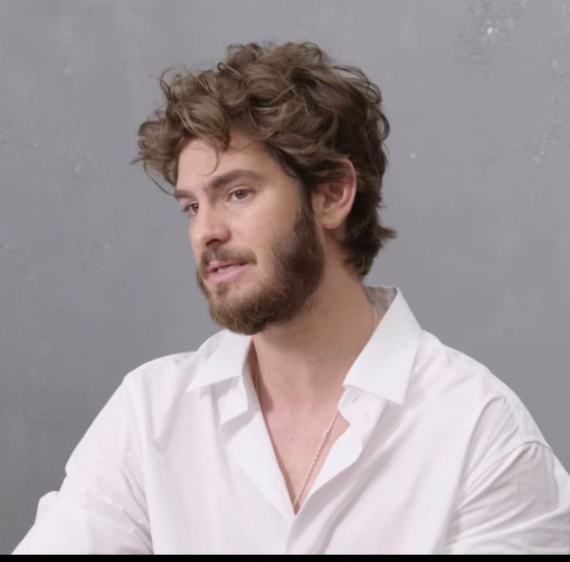 安德鲁·加菲尔德 