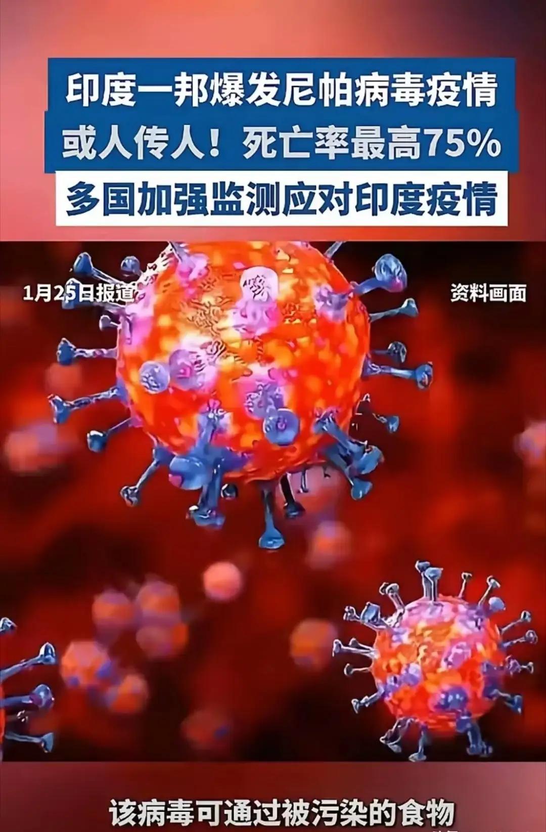 印度暴发疫情，或人传人，致死率高！尚无疫苗和有效疗法
印度西孟加拉邦暴发了尼帕病