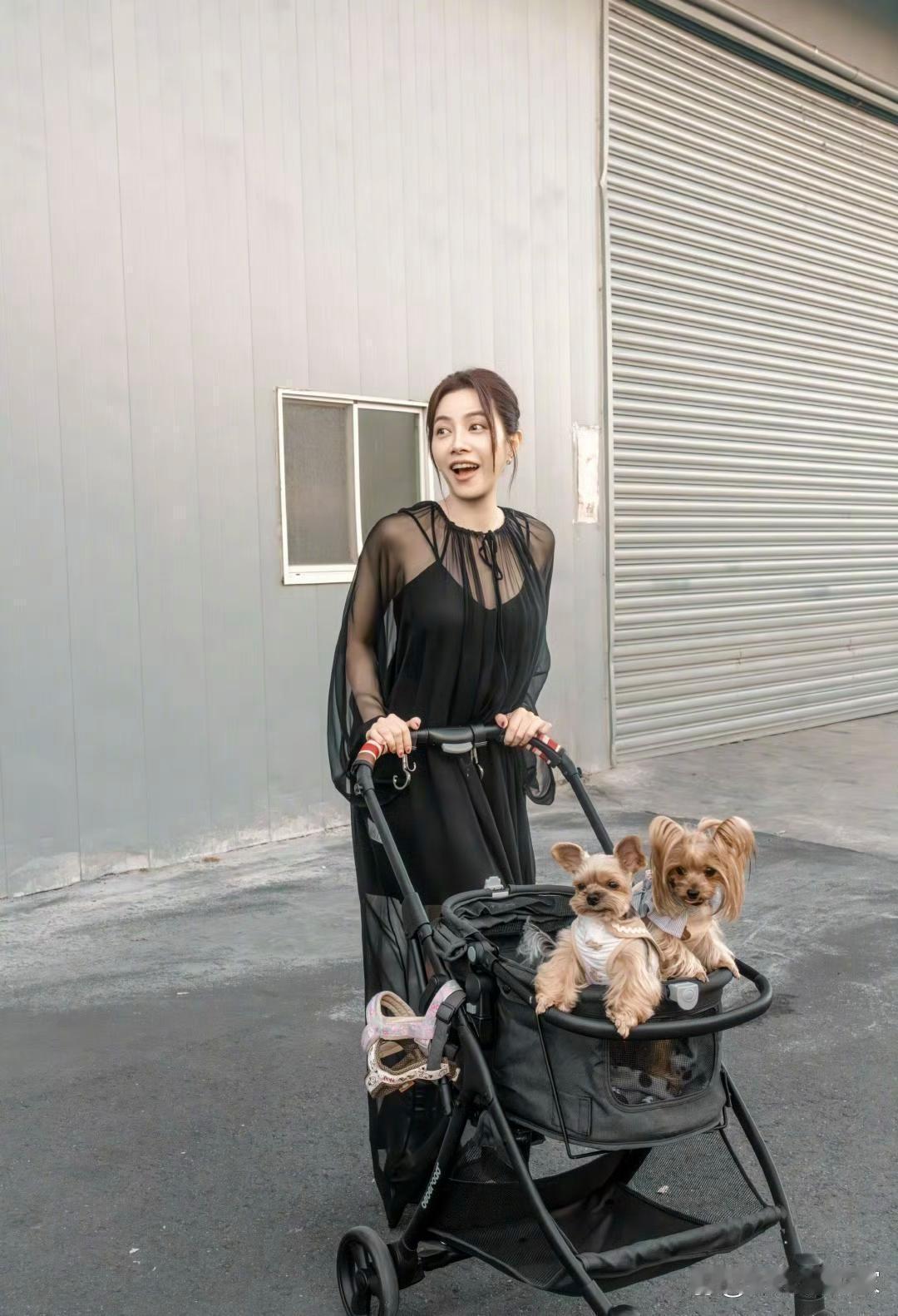 46岁的徐怀钰，推着小车遛狗去啦！没孩子也乐呵，有狗狗陪就够啦 