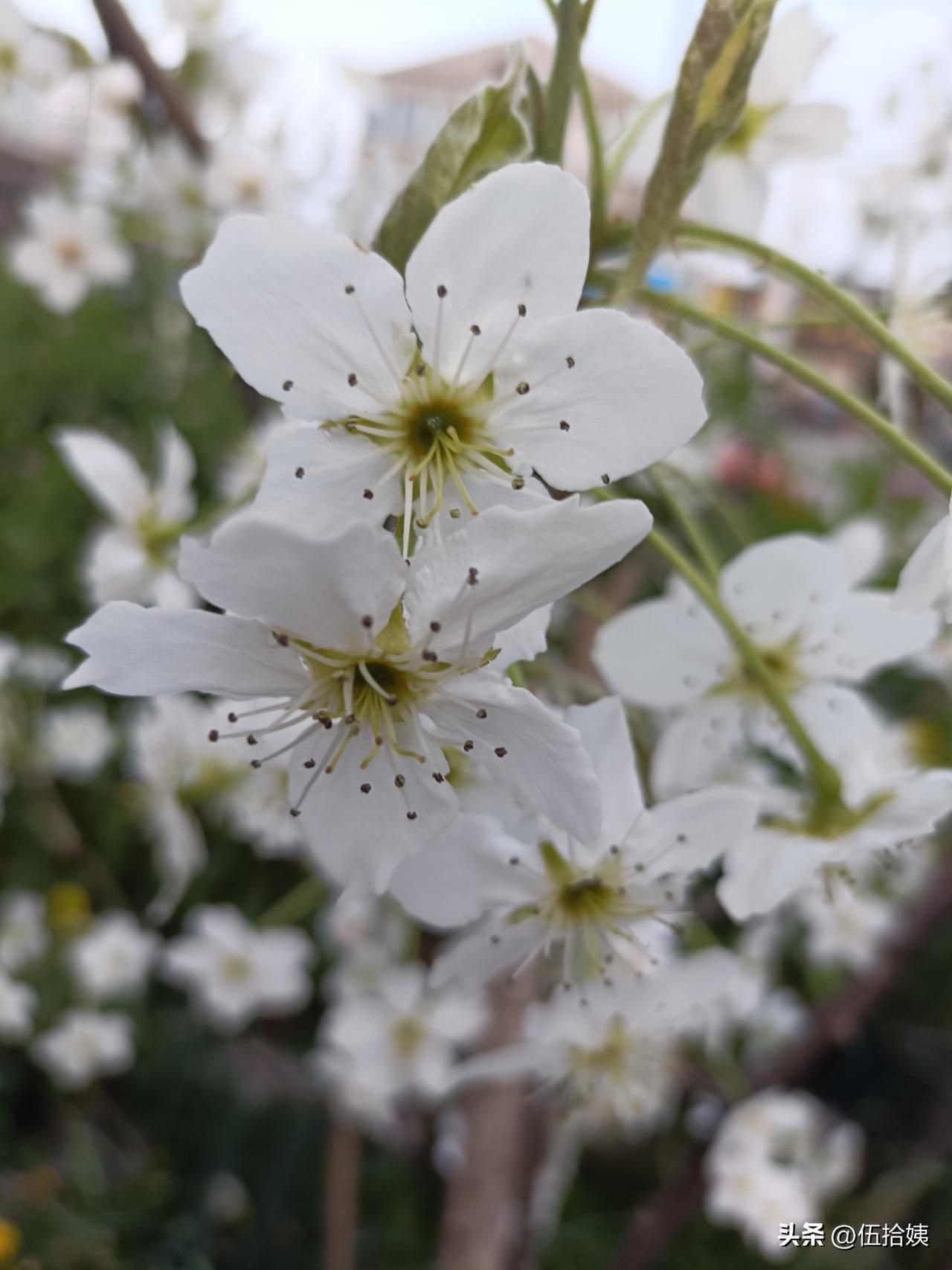 今天一朋友说：你知道吧，某某某3月初月死掉了，真是太不值得了，人死如灯灭，什么老