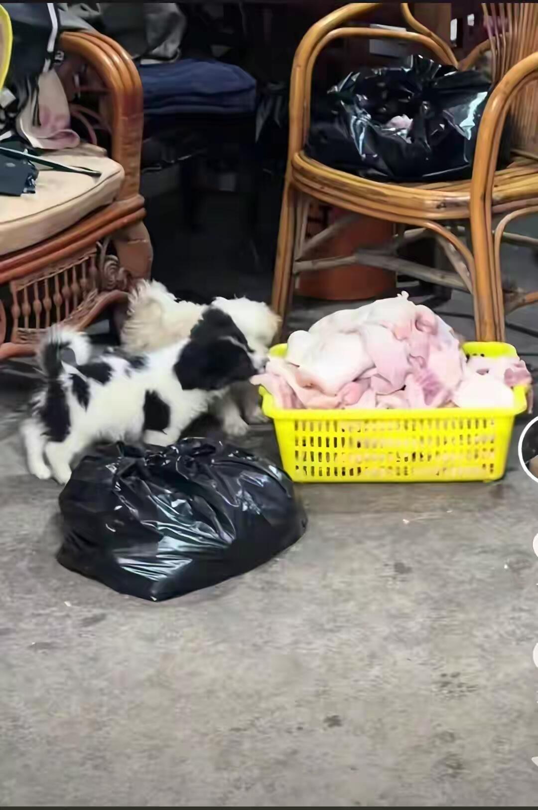 合肥这个70岁的周大爷，真是把“臭脾气”变现了。卖个卤菜，爱答不理、死活不讲价，