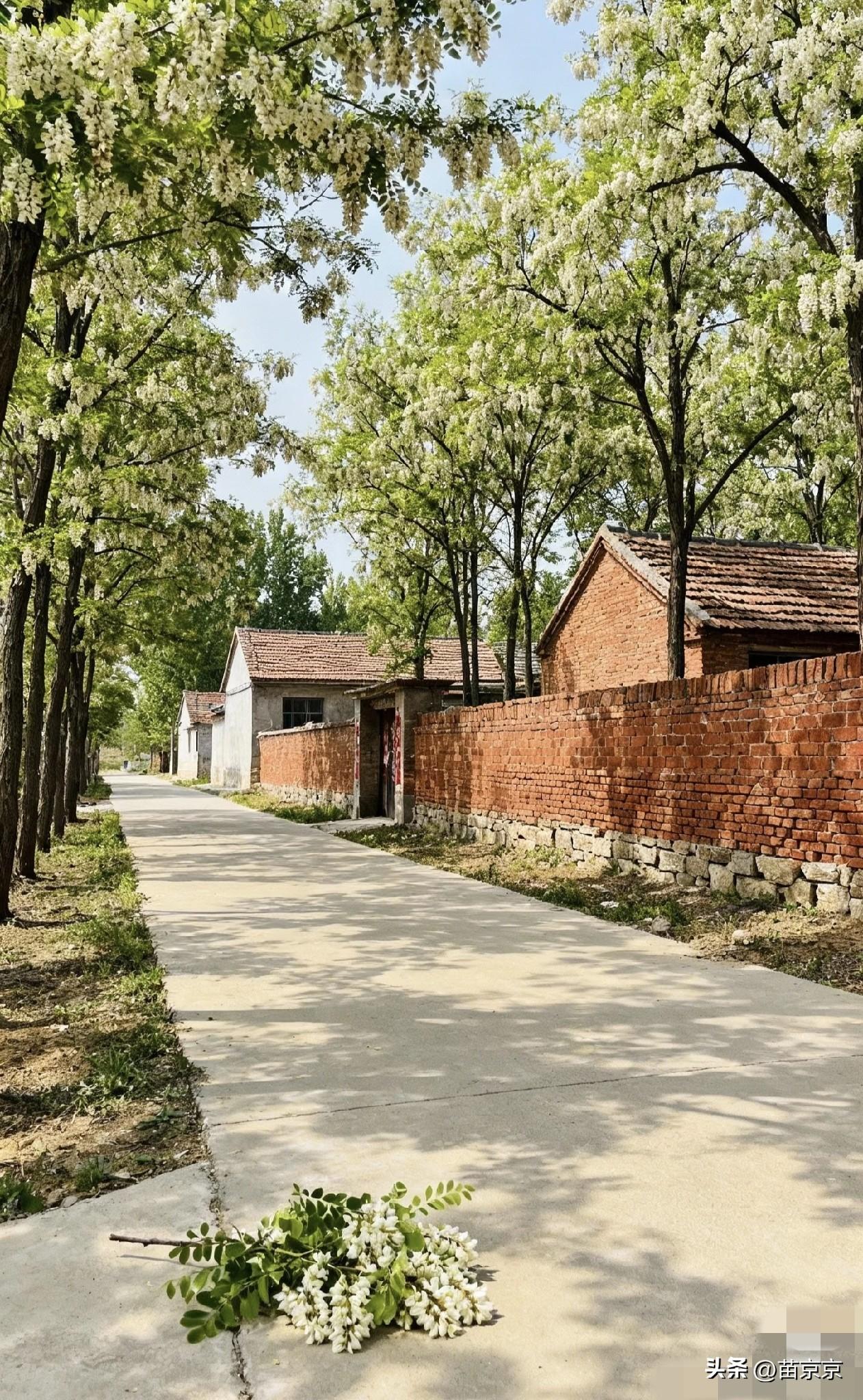 抛开工作不谈
你是喜欢住农村还是楼房？
楼房千好万好，有一点远远不及农村！
那就