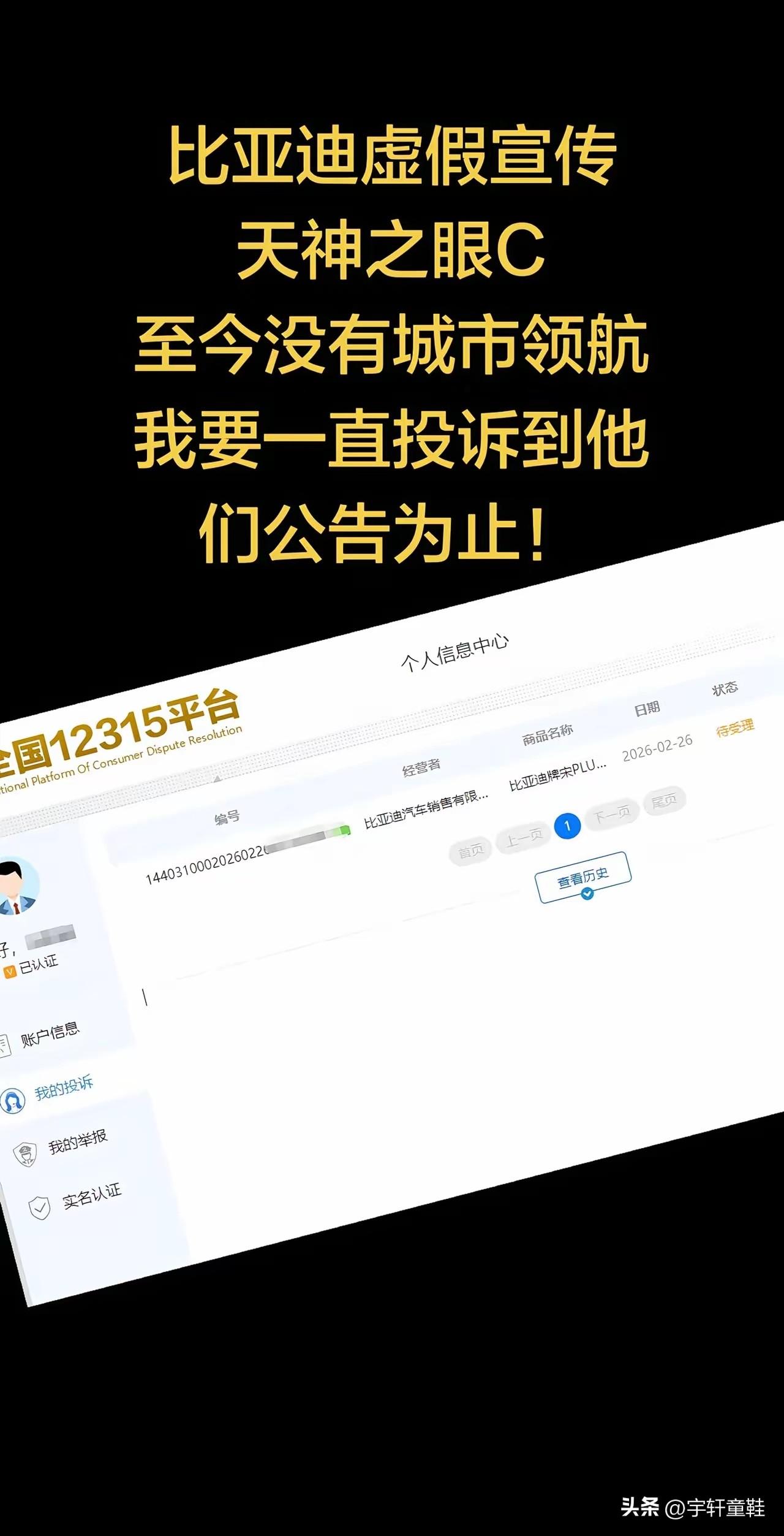 “比亚迪宋Plus，天神之眼C没有城市领航，我要投诉到他们公告为止！”
随着比亚