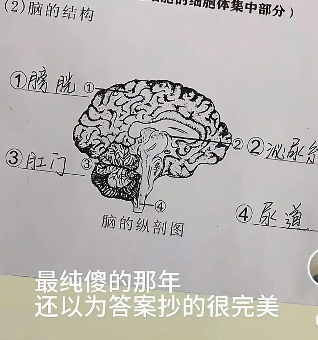 骂人新表情包出炉 ​​​