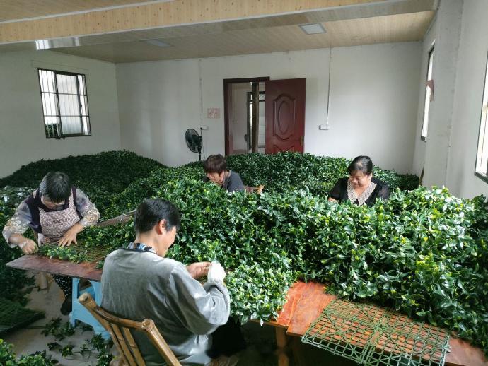 一朵仿真花开出台州山乡姐妹的共富梦 台州天台龙溪乡寒岩村的“丽君共富工坊”里，十