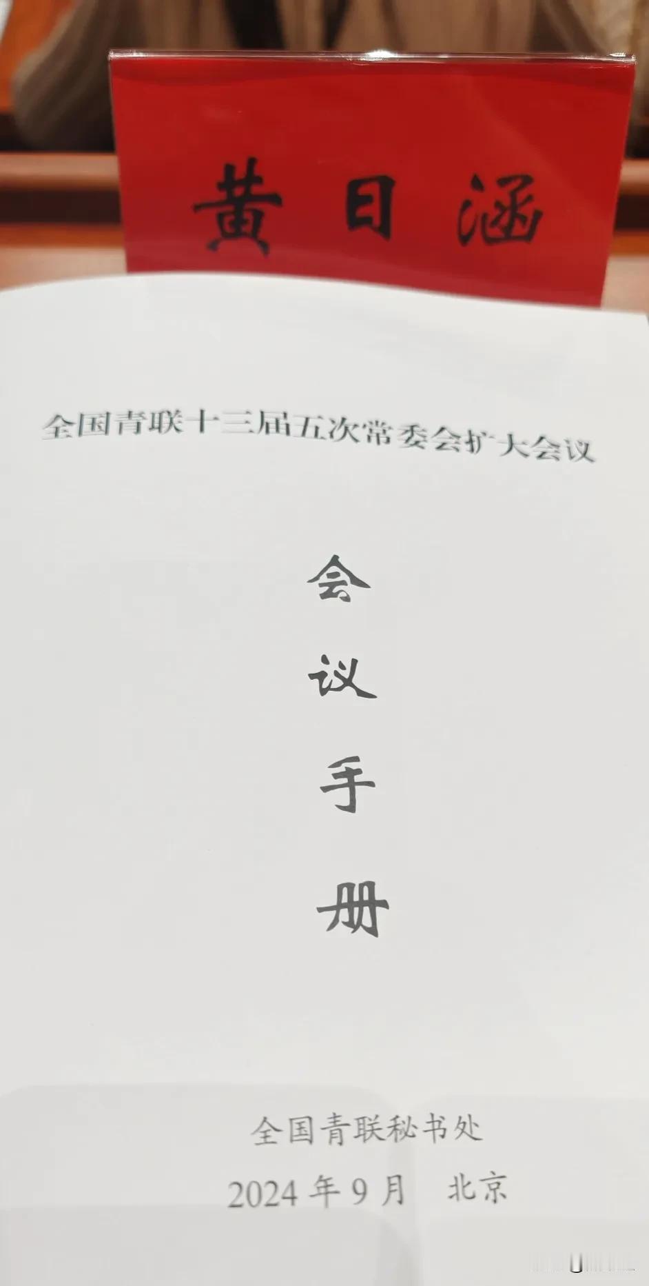 今天开会
加强和广大青年的联系至关重要，特别是加强团结海外华裔青年，通过新媒体增