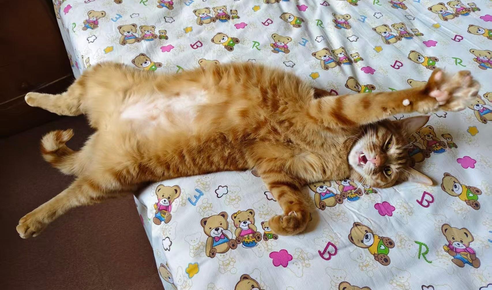 前几天我把冰冰领走了，这周我妈要去照顾我姥姥，家里就一直没人。我妈抽空回她家去看