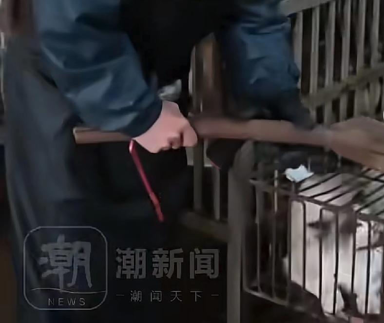 福建的朋友真的一点儿不忌口啊
福建省龙岩市上杭县，一位在这边游玩的朋友，偶然间在