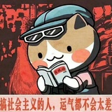 小豹豹爱谈科技