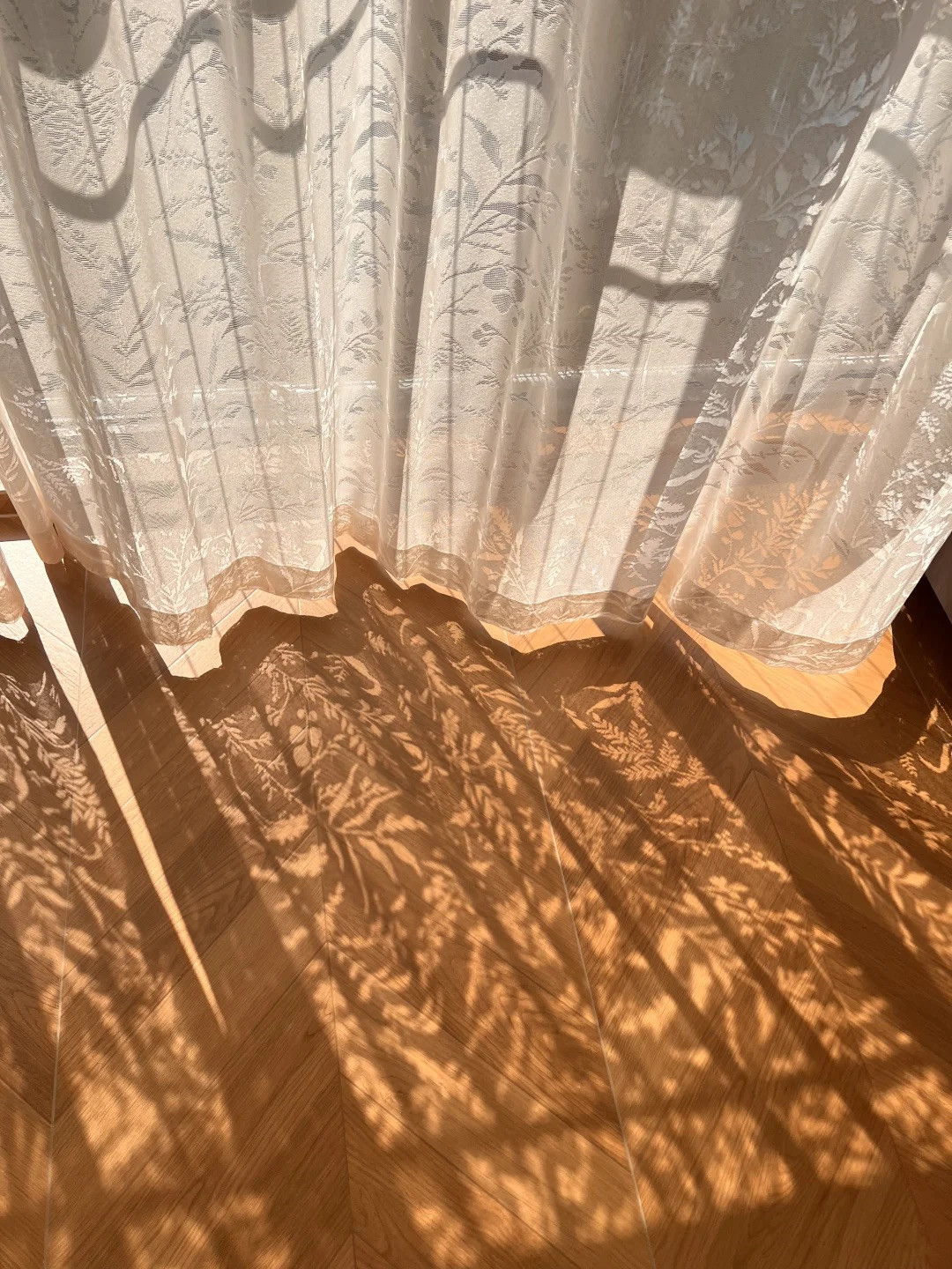 ⌯>ᴗo⌯ಣ进门直接被美到静止✨在门口站了三分钟才想起换鞋，这大概就是家的意义吧