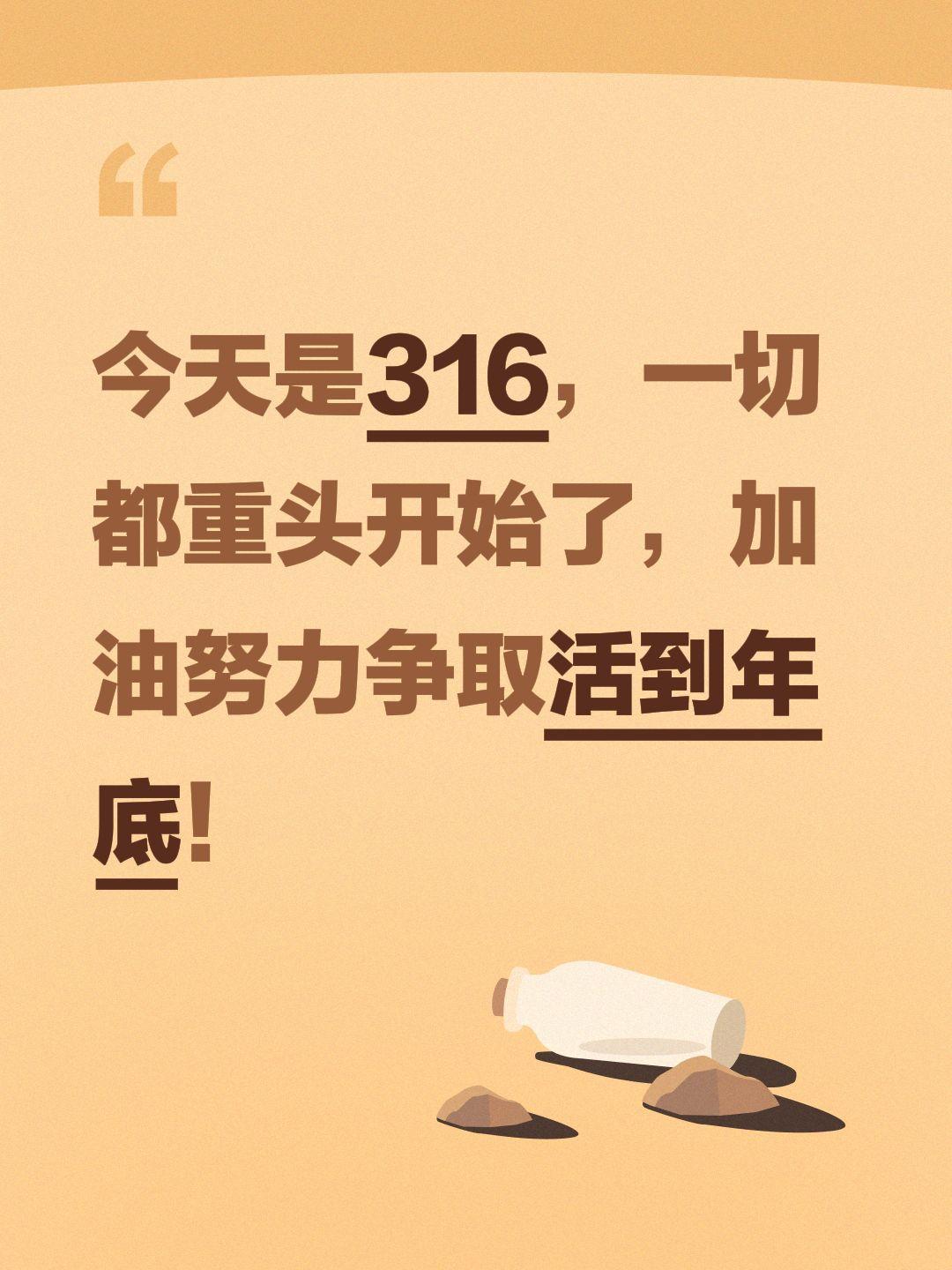 今天是316，一切都重头开始了，加油努力争取活到年底！