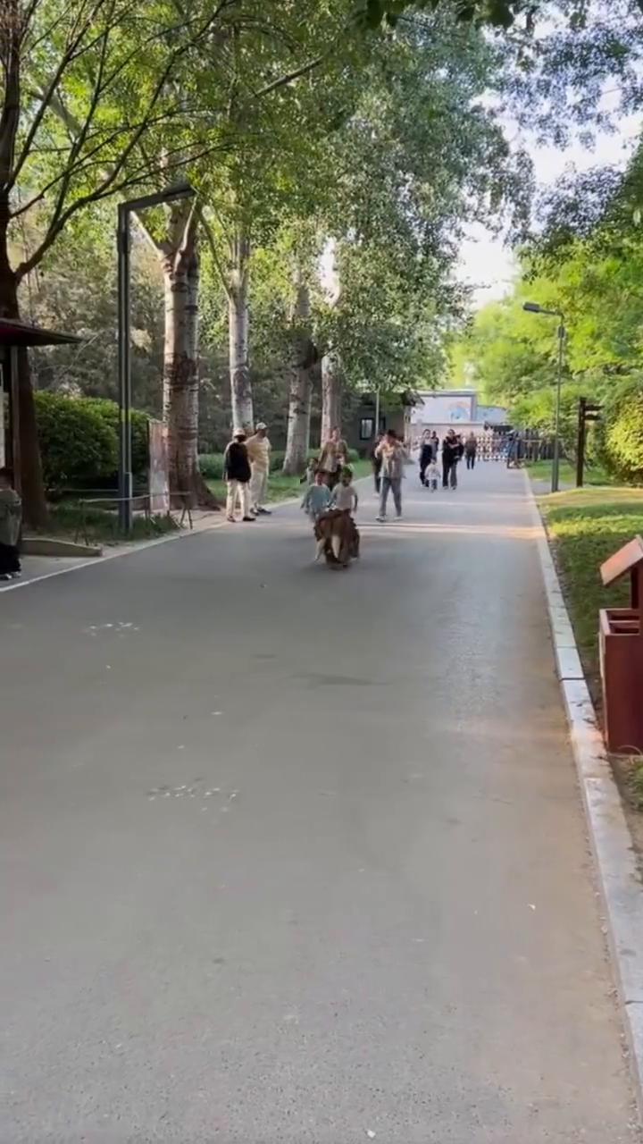 哈。
