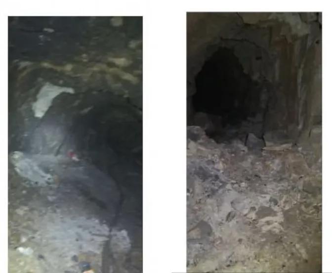 废弃矿洞吞噬三条生命！救援现场画面揪心，调查报告揭开致命漏洞……

凌晨的深山，