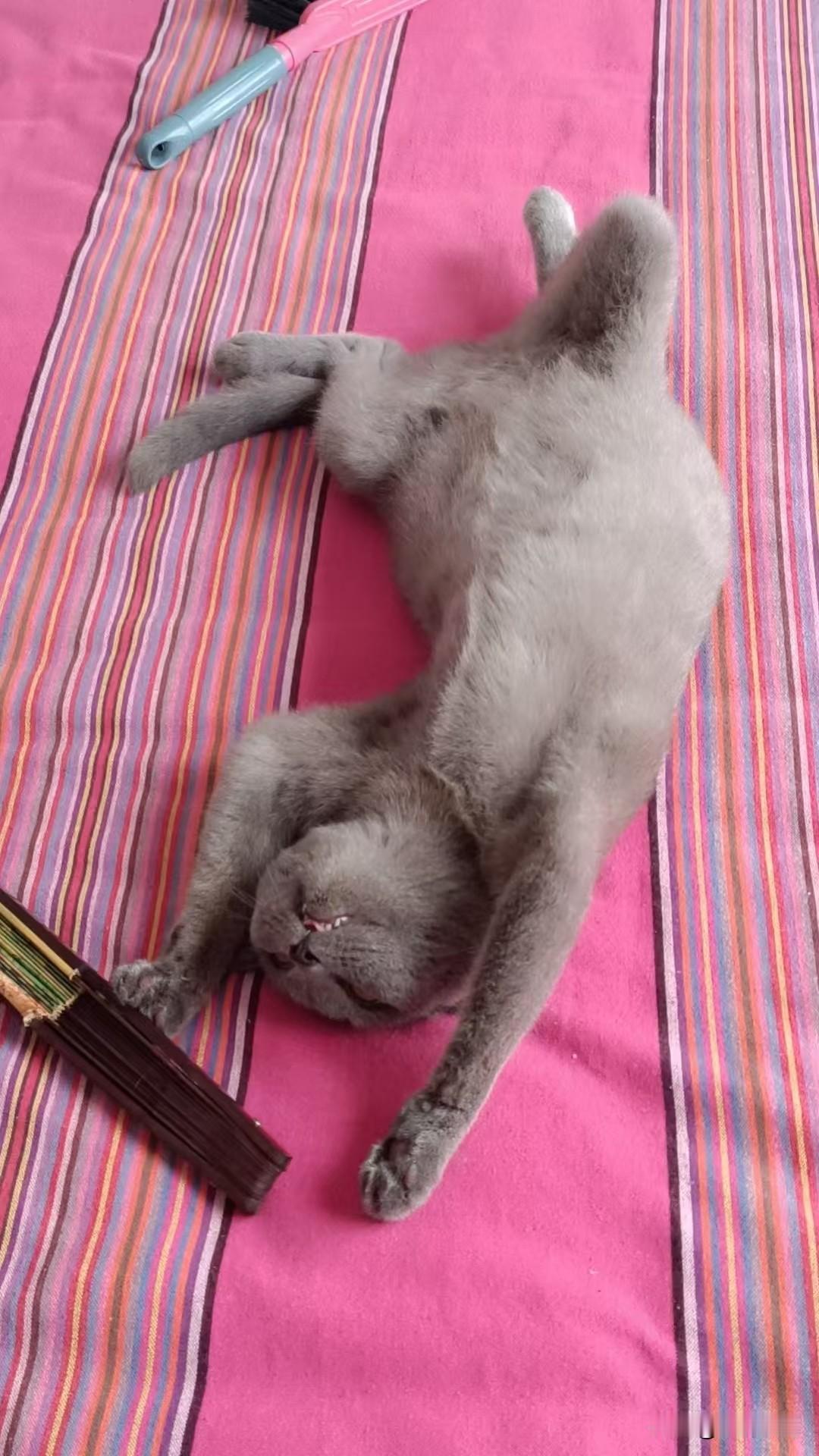 我远嫁的时候我就告诉我自己，婚姻不是嫁给谁就会自动变好，而是两个人大事商量小事体