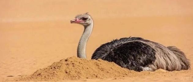 不婚不育的年轻人，不是自私是无奈，不过是群温柔的鸵鸟
 
“不婚不育保平安”成了