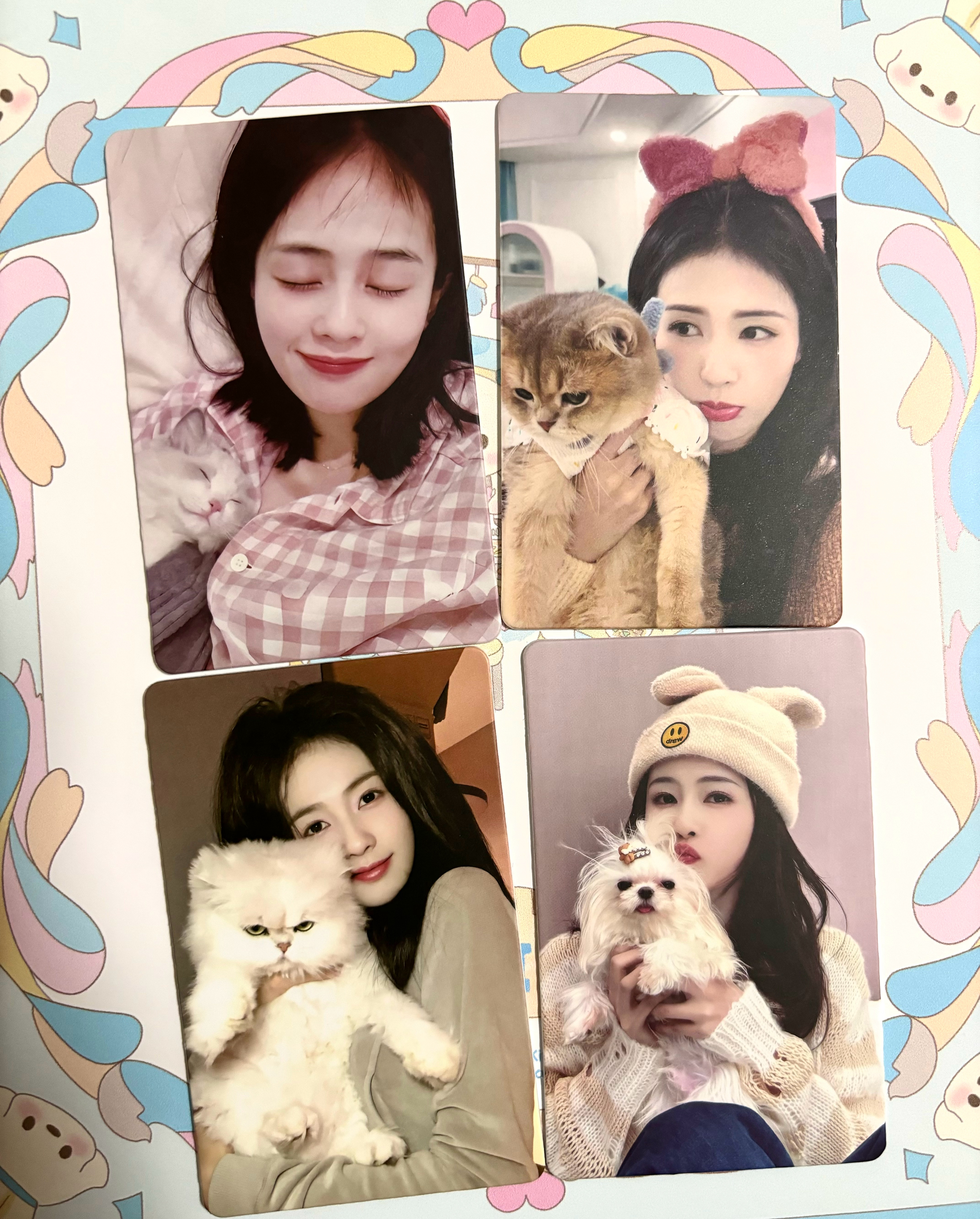 正在美美欣赏小卡哎呦好萌的一家四口~🐱🐶 ​​​
