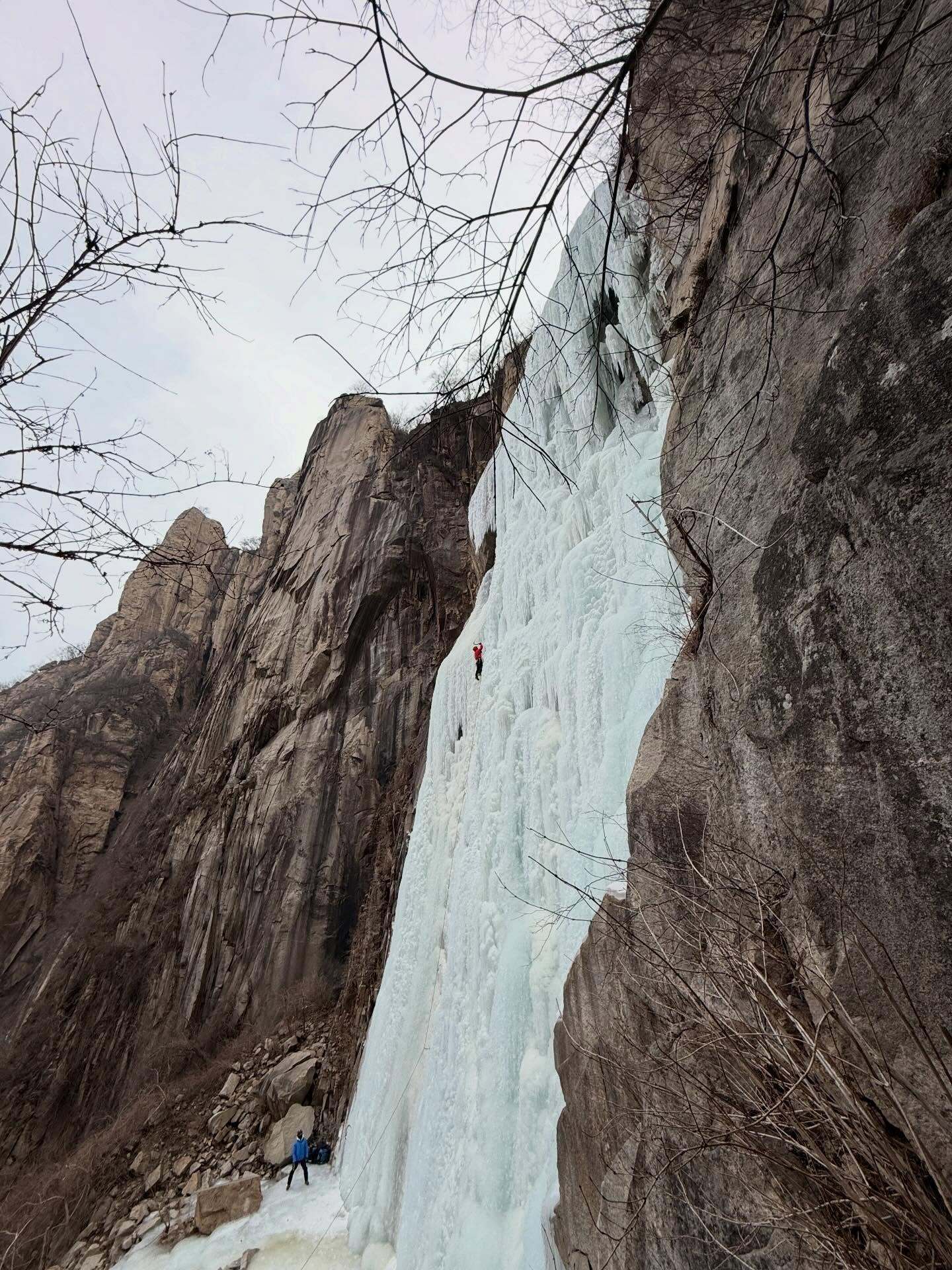 王一博晒攀冰照能在寒冷冬天周末一大早起床爬冰的人 除了艾莎只有王一博 