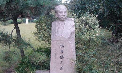 1933年，39岁的杨杏佛用身体为儿子挡下20多发子弹，蒋介石下令在租界动手，凶