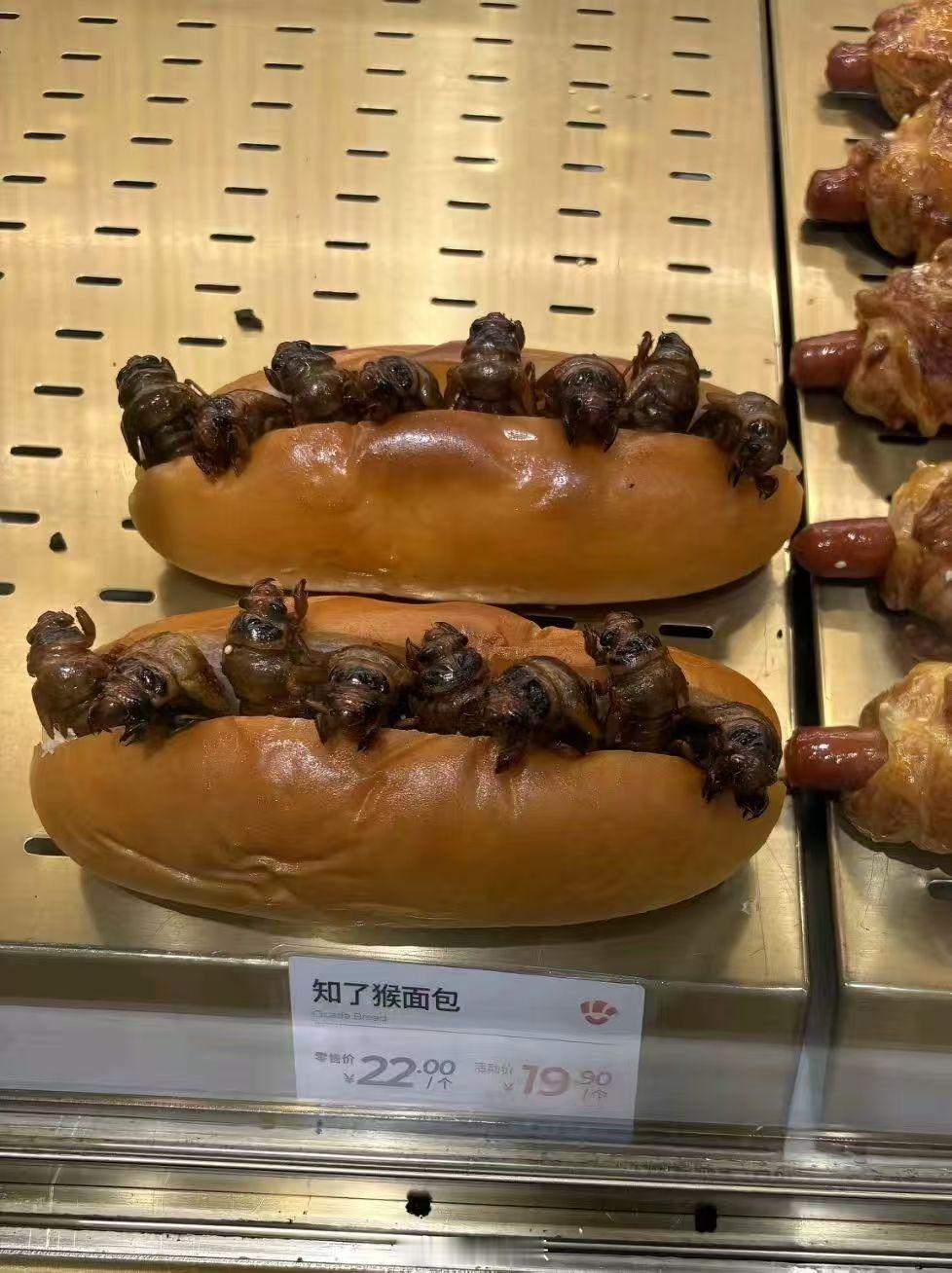 20块钱一个的知了猴面包？你吃过吗？ 