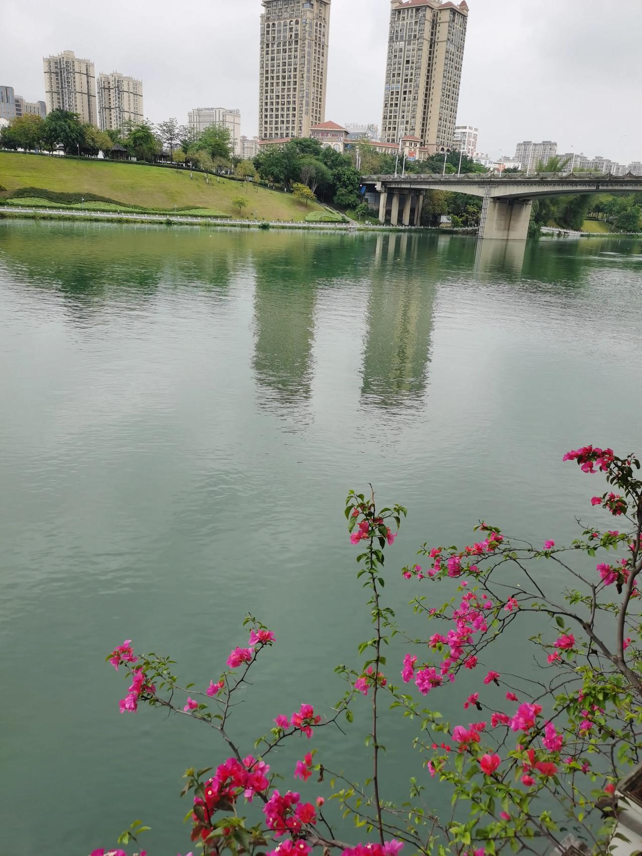 漫步在这雨后的河边，呼吸着这新鲜的空气，整个人瞬间精神了许多，空气像被净化了一样
