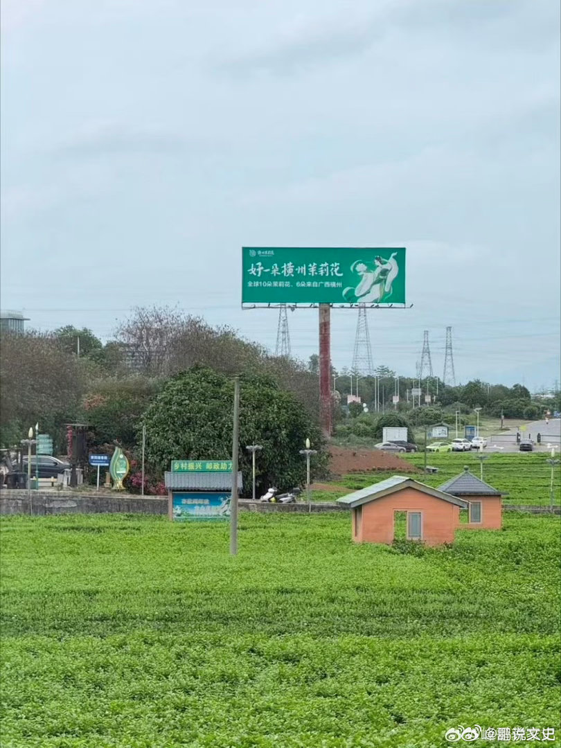 你的茉莉花奶茶可能被淹了是不是有点玩梗了 