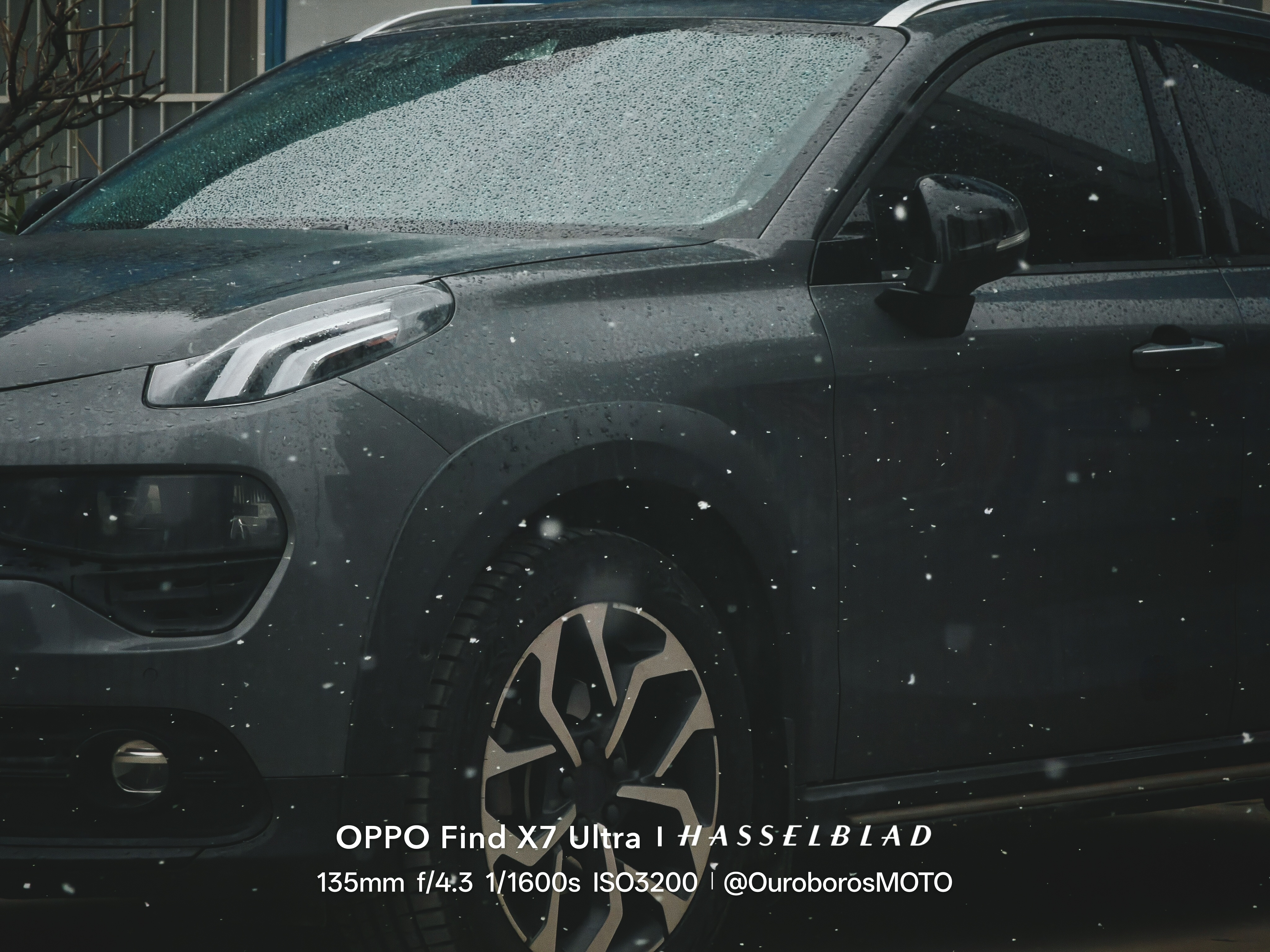 🔻又下雪了❄️ 