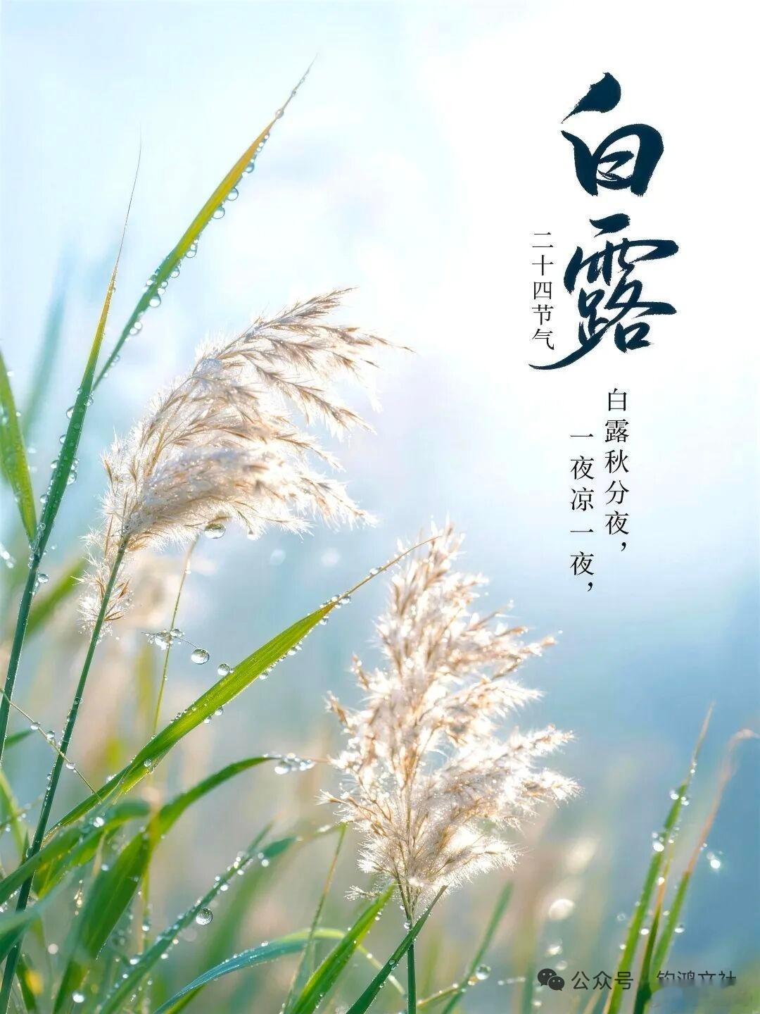 人这一生，最大的清醒，就是不为不值得的人消耗自己。余生很贵，请把时间留给值得的人