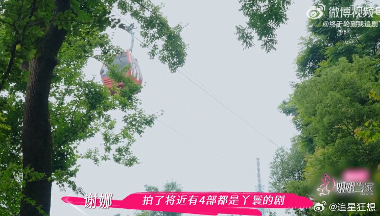 谢娜第一次主持后找网吧看恶评 姐姐当家 谢娜早年这段经历太真实了！第一次主持完不