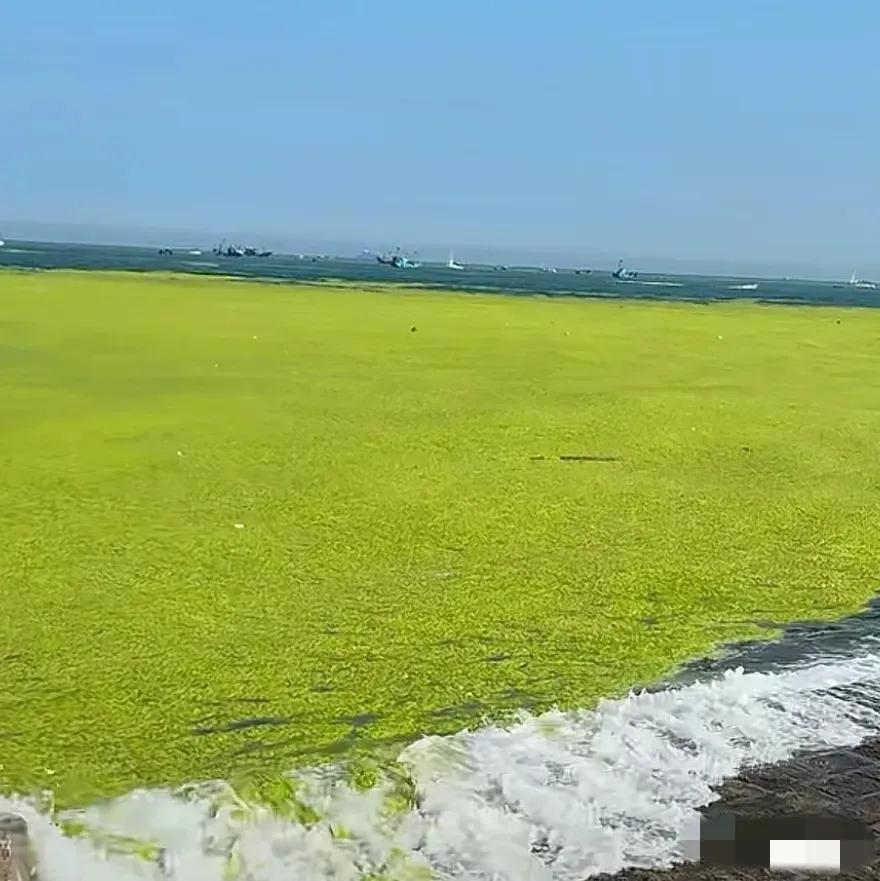 赌气离开泰安搬到青岛并非福气，山东科技大学正在被越来越多的省属高校超过，比如齐鲁
