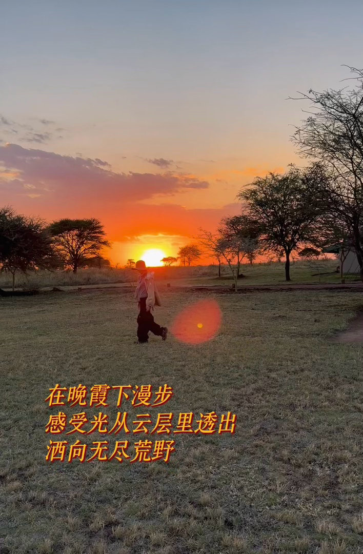 唐艺昕的非洲vlog好像一集动物世界点开唐艺昕这条非洲vlog，直接沉浸式看野生