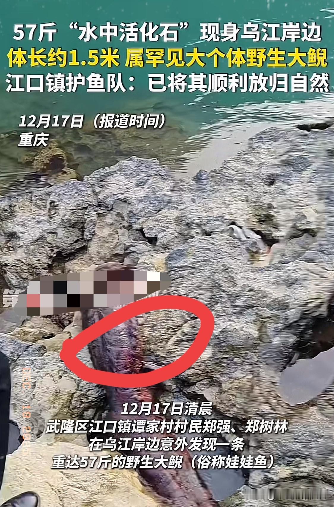 幸亏大哥多了个心眼！
重庆村民挖红薯时撞见石缝里的“黑影”，
差点当成“辣条”躲