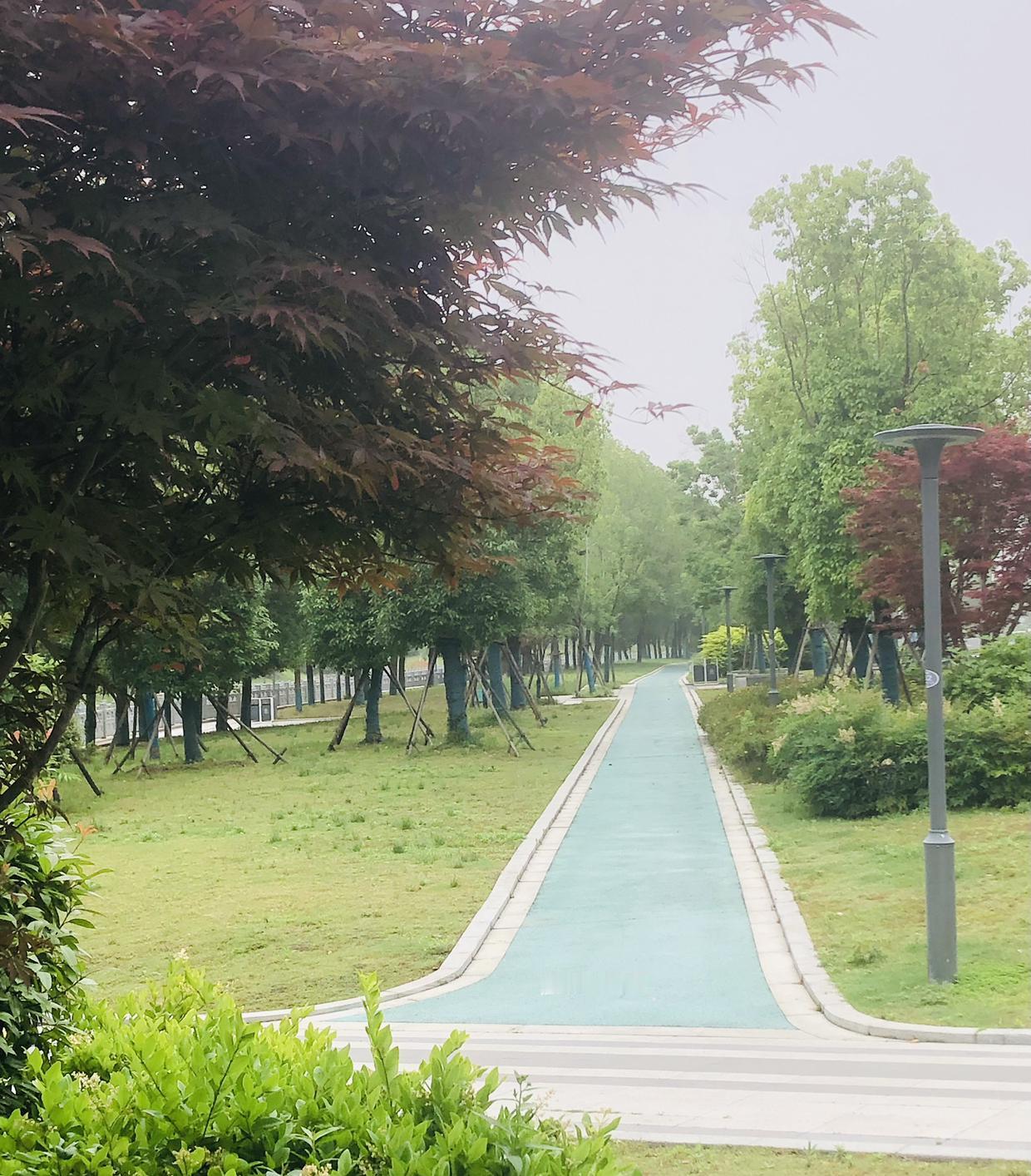 我的今日状态：😁轻松愉快
我这里的天气：🌤️多云
阴蒙蒙的常州清晨，雾气裹着