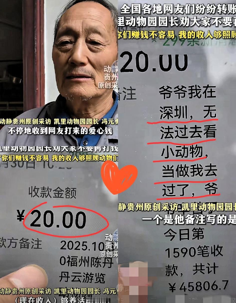 “彻底解释不清了！”

凯里70岁的冯园长最近头都大了，手机响个不停全是收款提示