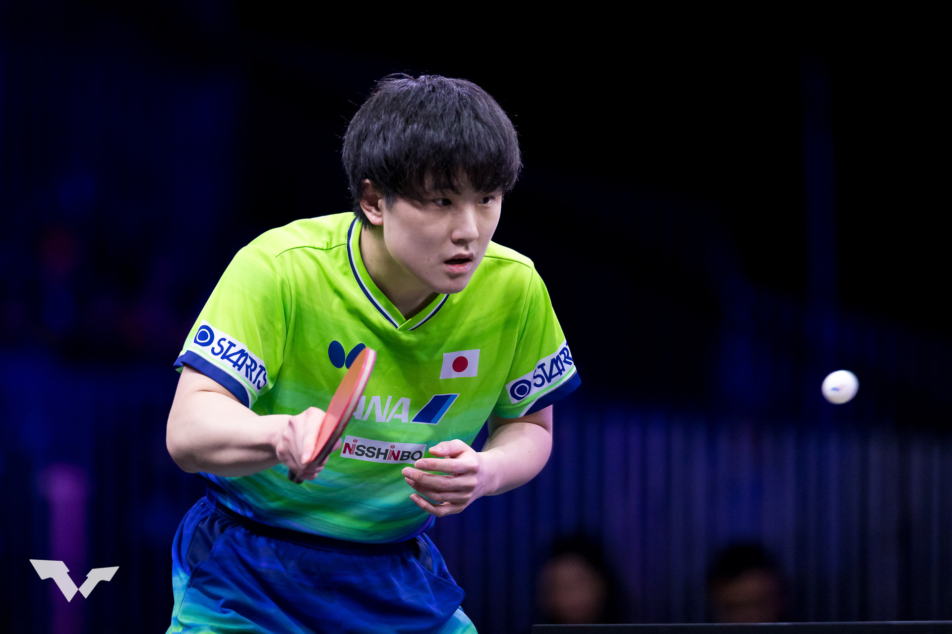 张本智和张本智和wtt美国大满贯2026 男单R16图集cr. WTT 