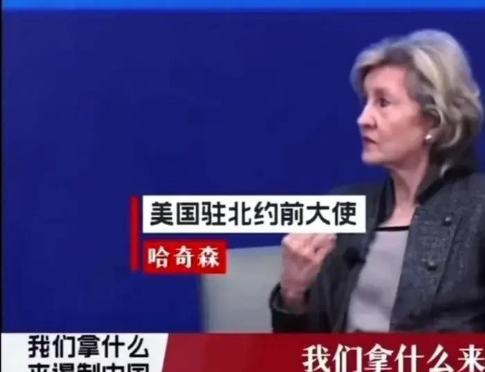 我们对付中国，不是去和它打仗！

美国驻北约前大使说：中国有庞大的陆军、海军和空