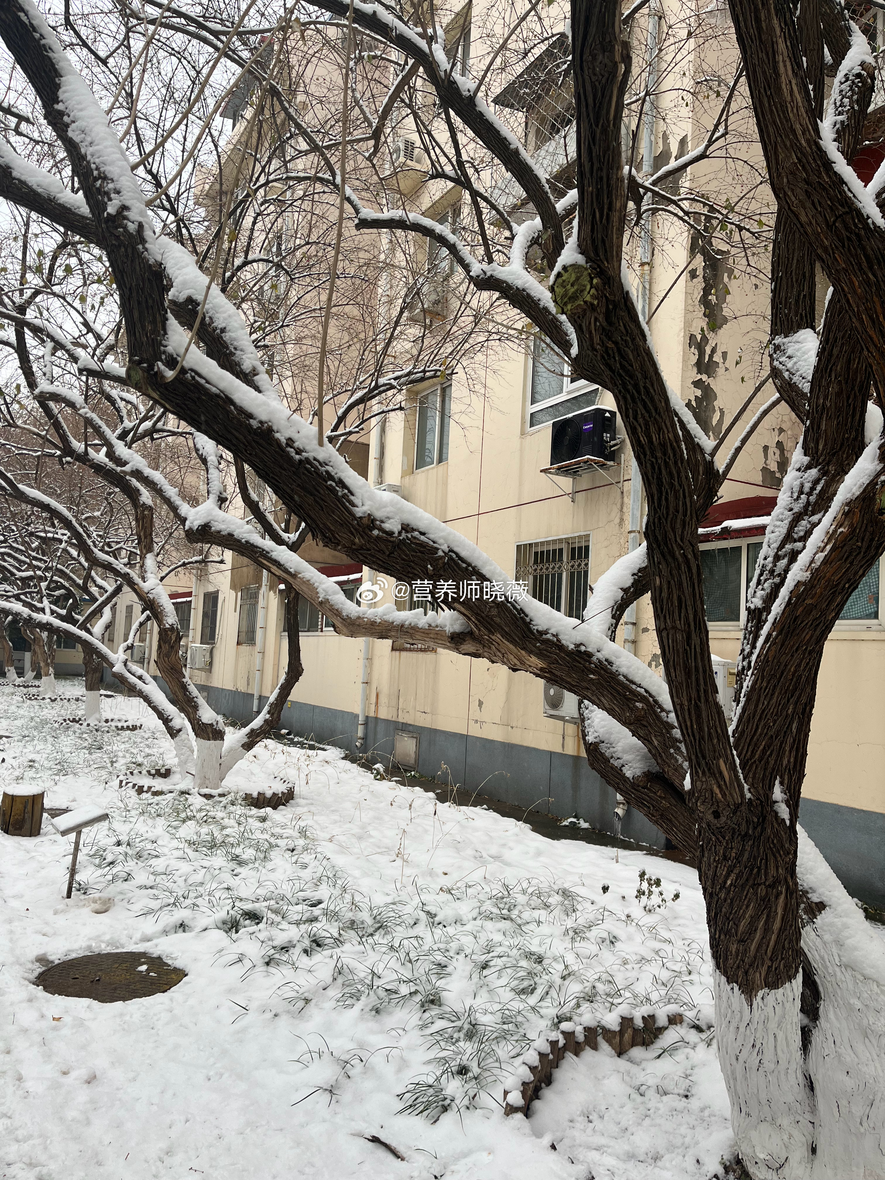 #北京下雪# 轻轻 落在我掌心静静 在掌中结冰愿雪夜有安暖❄️ ​​​