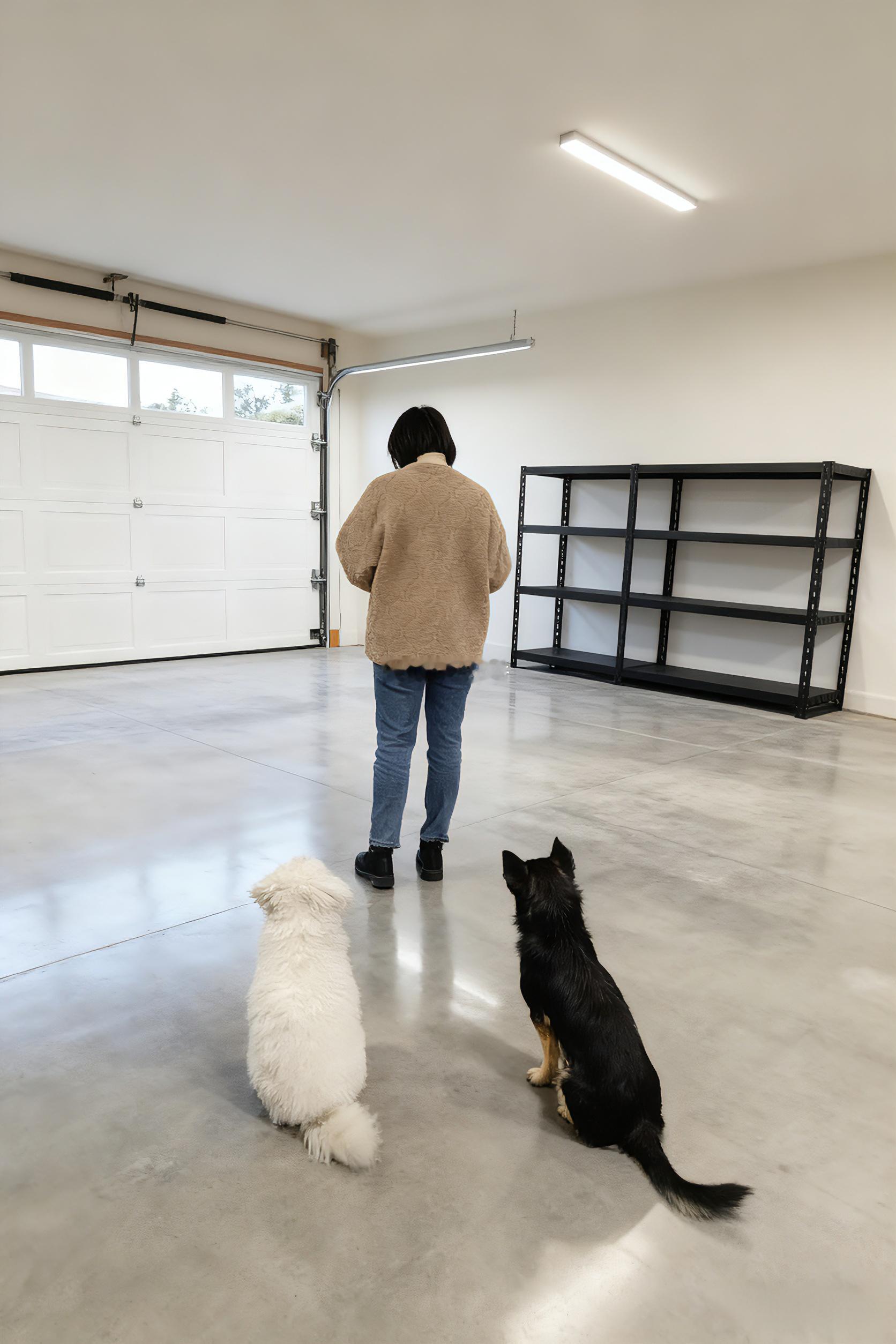 等待出去撒欢的“毛兄弟”。