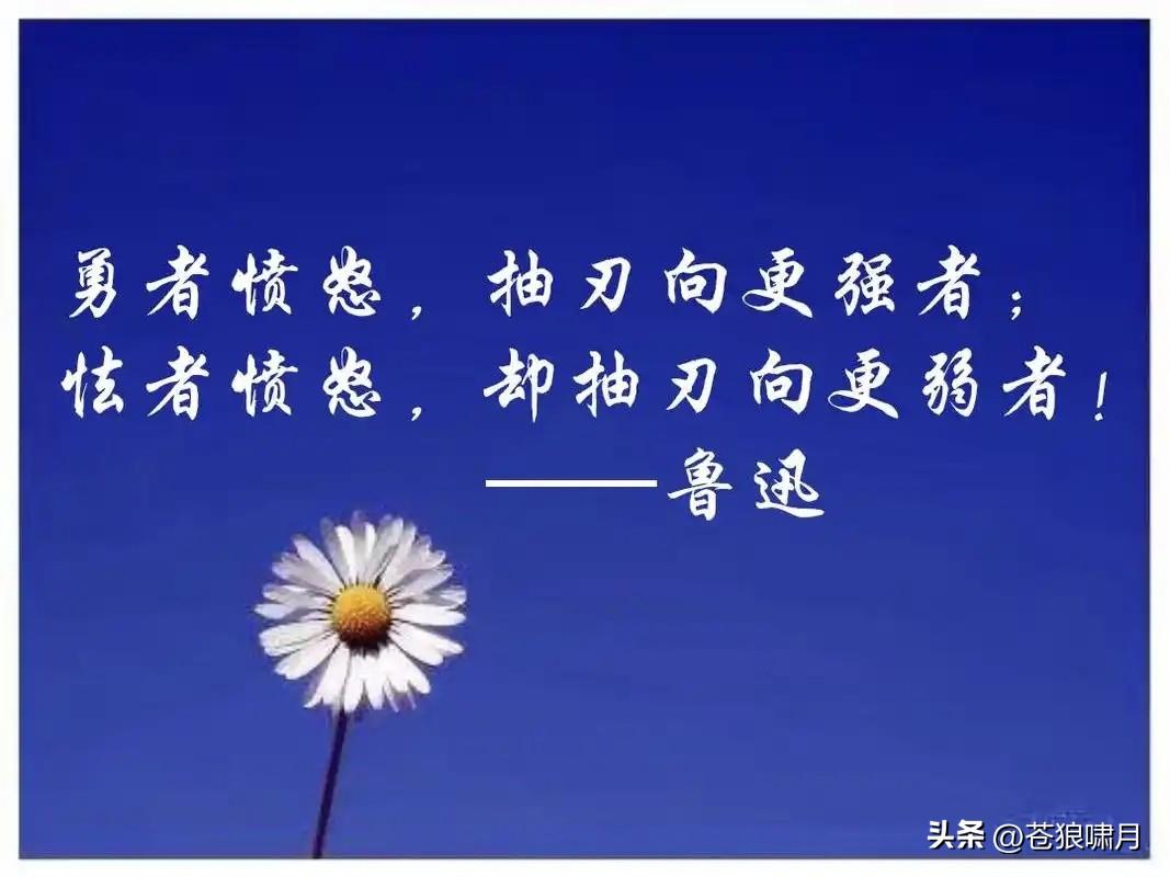 网友这话说的好！勇者批苦难，懦者骂莫言！勇者愤怒，抨击强权与不公；怯者愤怒，信奉