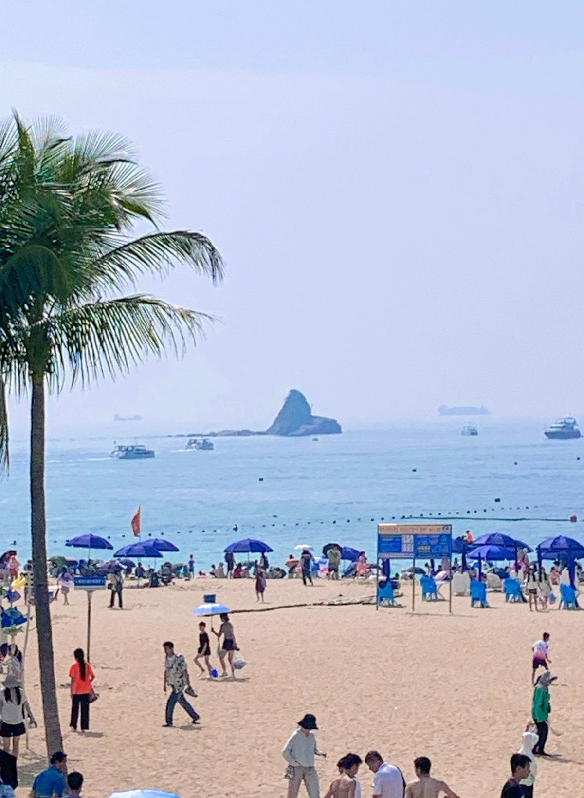 大梅沙 🆘大梅沙人真的太多了！！拍照给夸克让它帮我推荐了几个不拍到路人的方式和