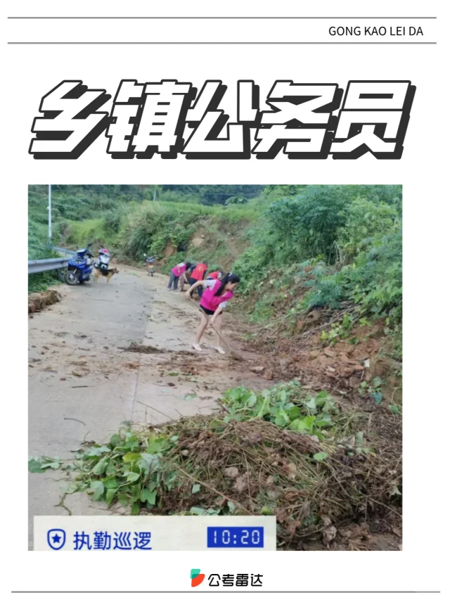 想报乡镇岗位看完这篇再说……