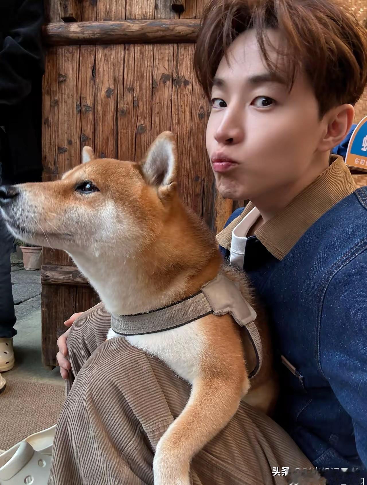 刘宪华的幸运就是参加了《向往的生活》，要不然真的很少有人认识他。 
刘宪华乖萌可