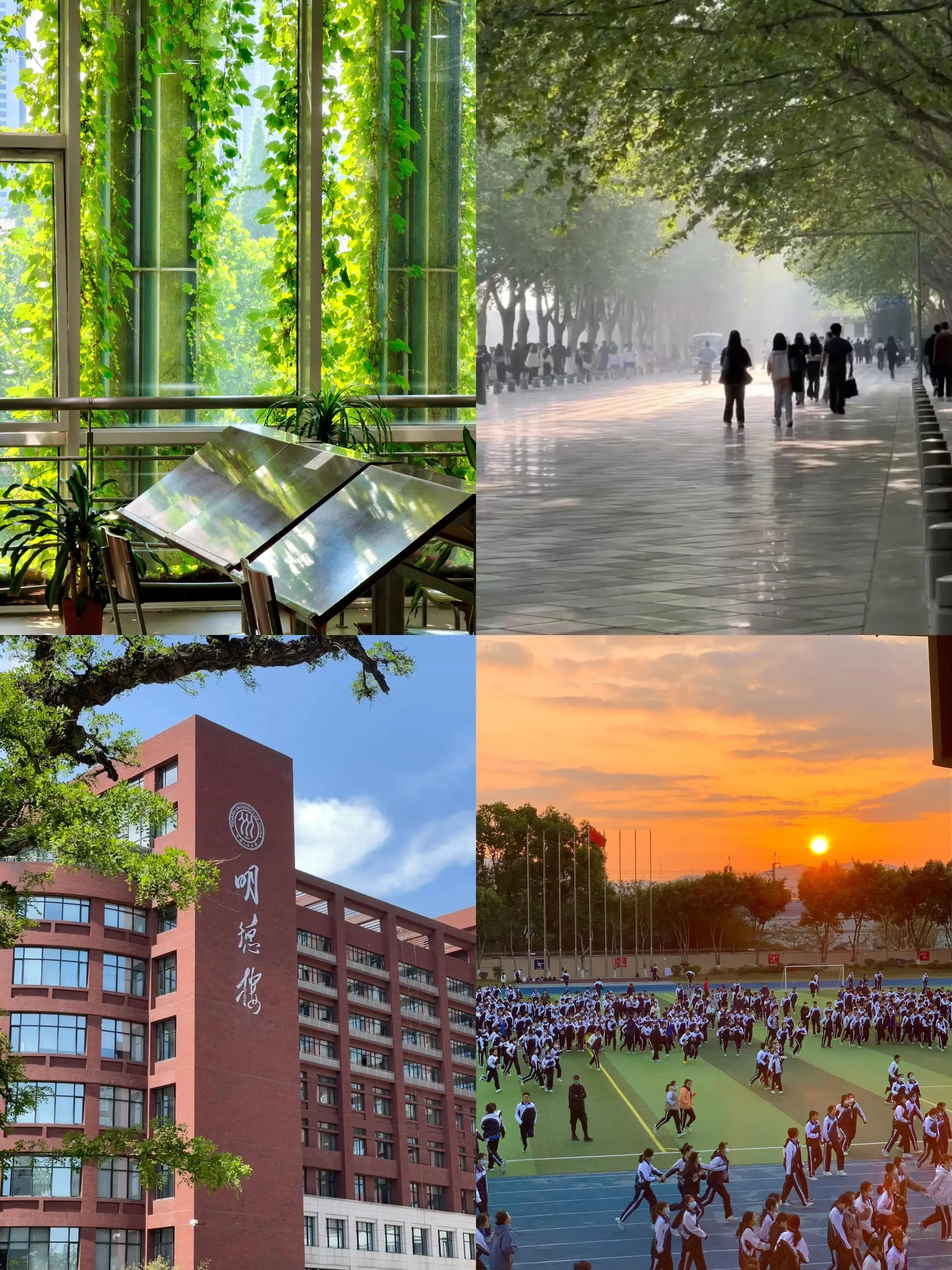 那么你第一次听《缺氧》是什么时候？