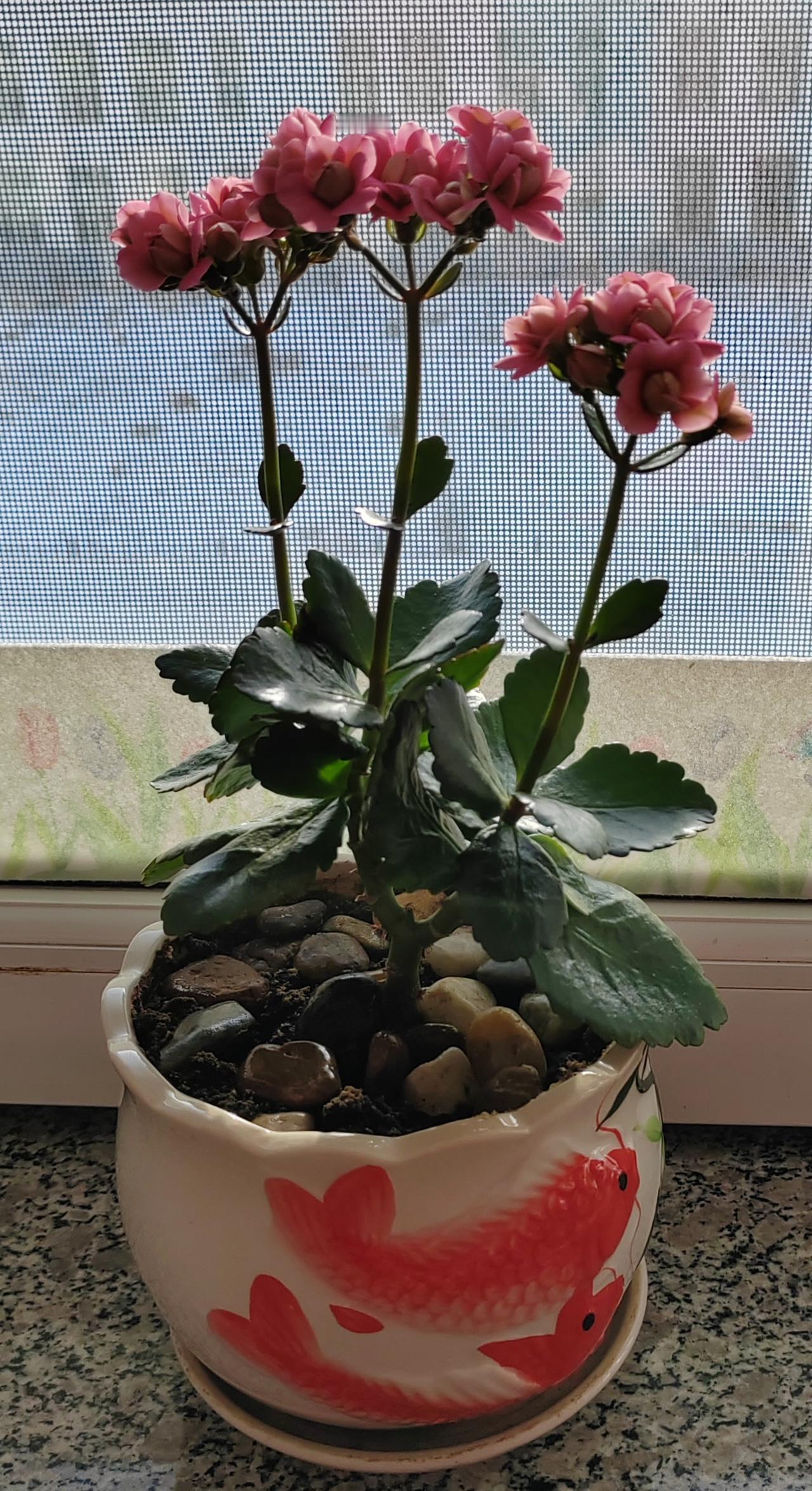 -haCLyWsgMg


再继续这样锻炼，你的血管可能就废了