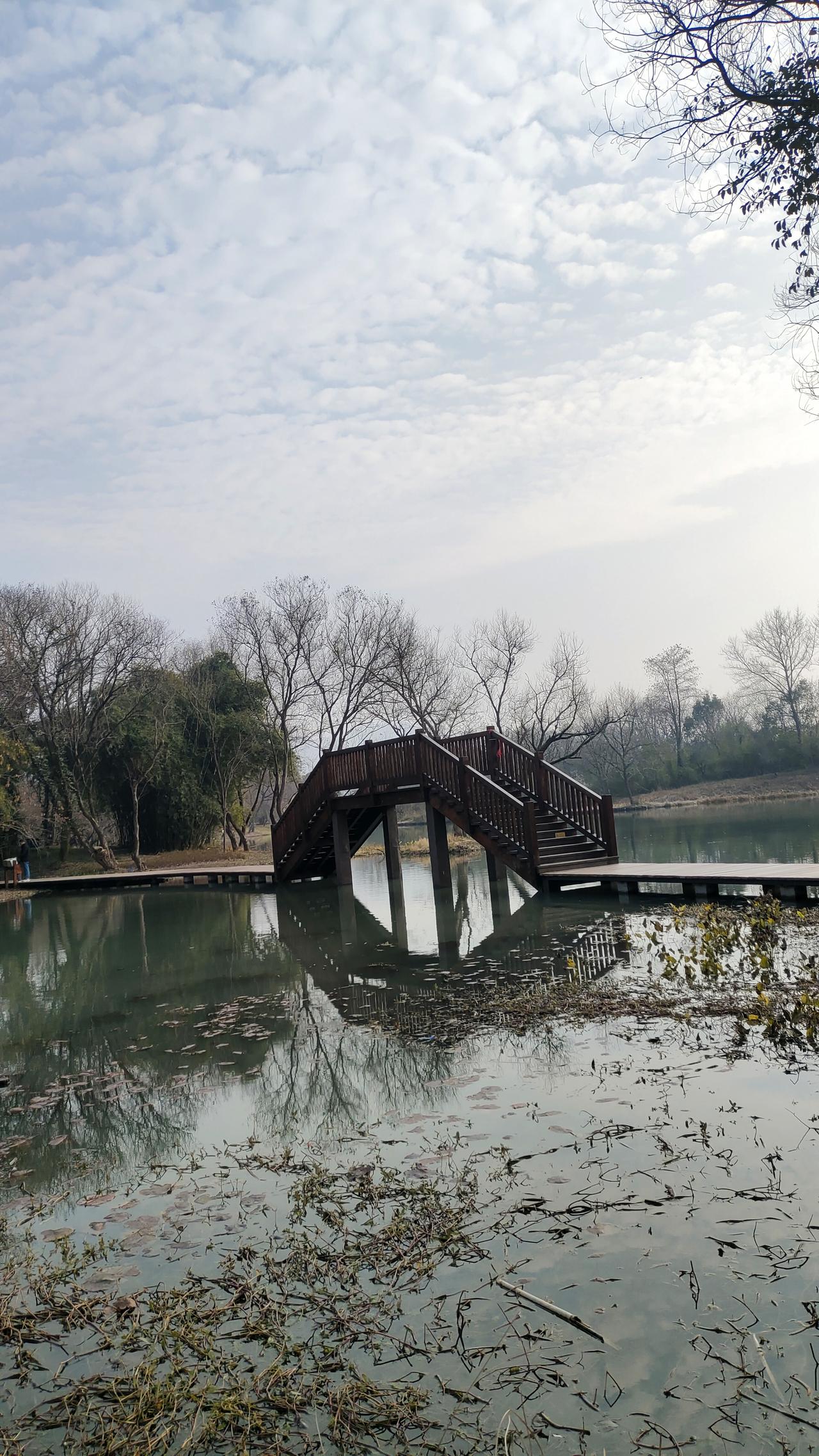今年冬天的不同年年岁岁人不同，岁岁年年花相似！