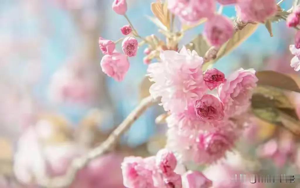 春日随手拍