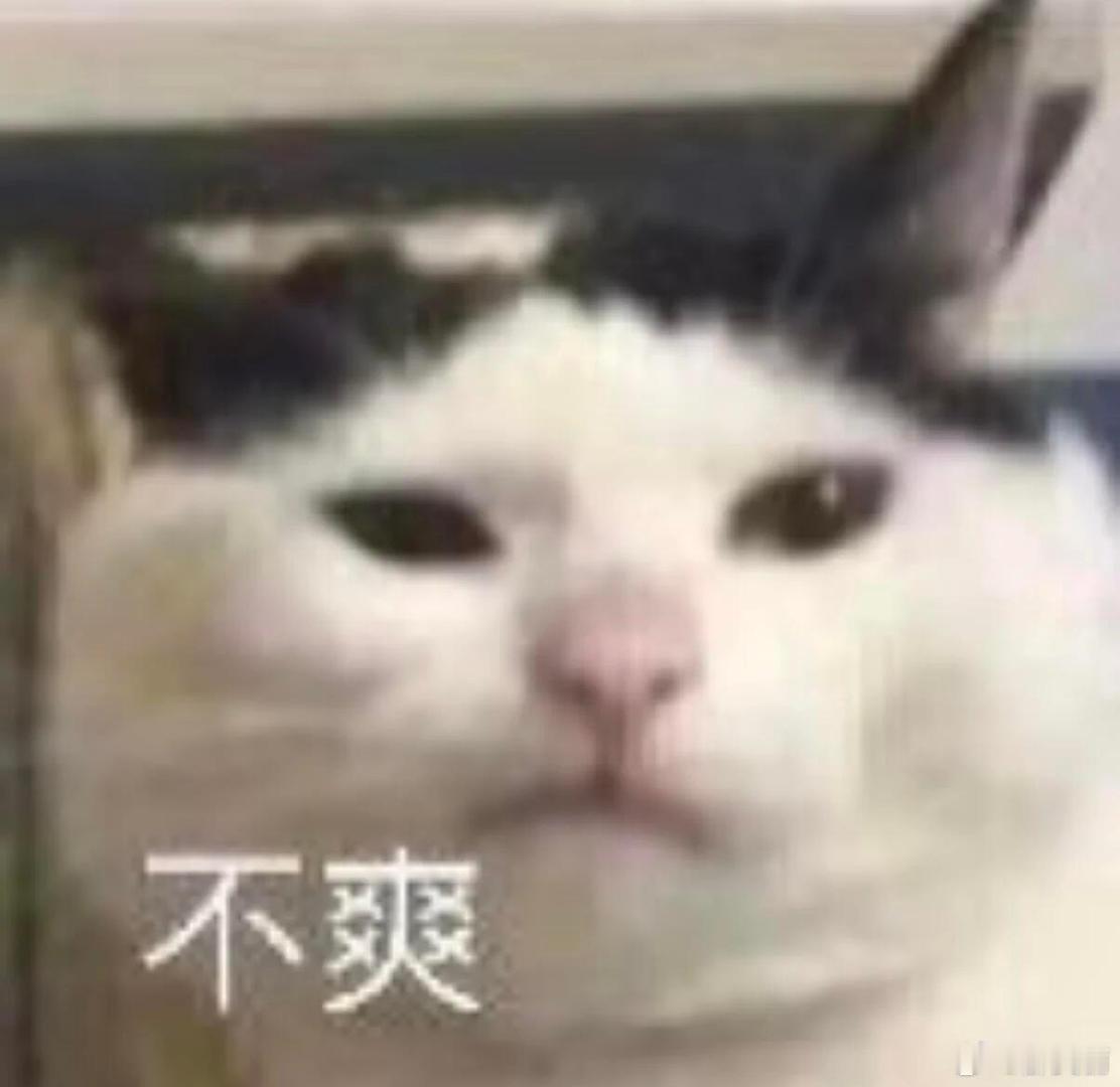 邪恶咪咪表情包 ​​​