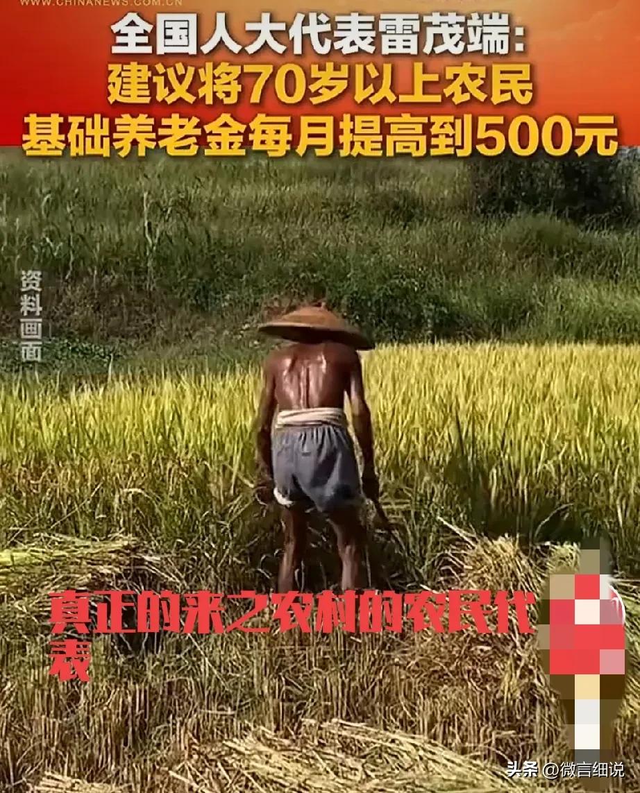 提高农民养老金这个话题又被人大代表给提出来了，人大代表有水平，做事情经过了调研和