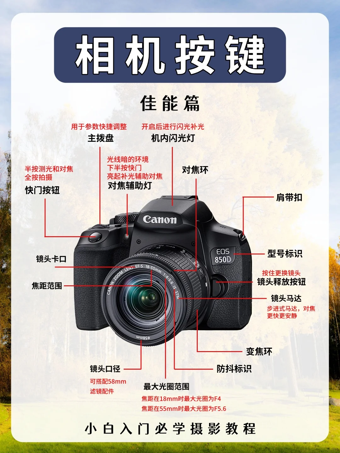 新手学摄影🎬新手入门5分钟学会相机使用 |